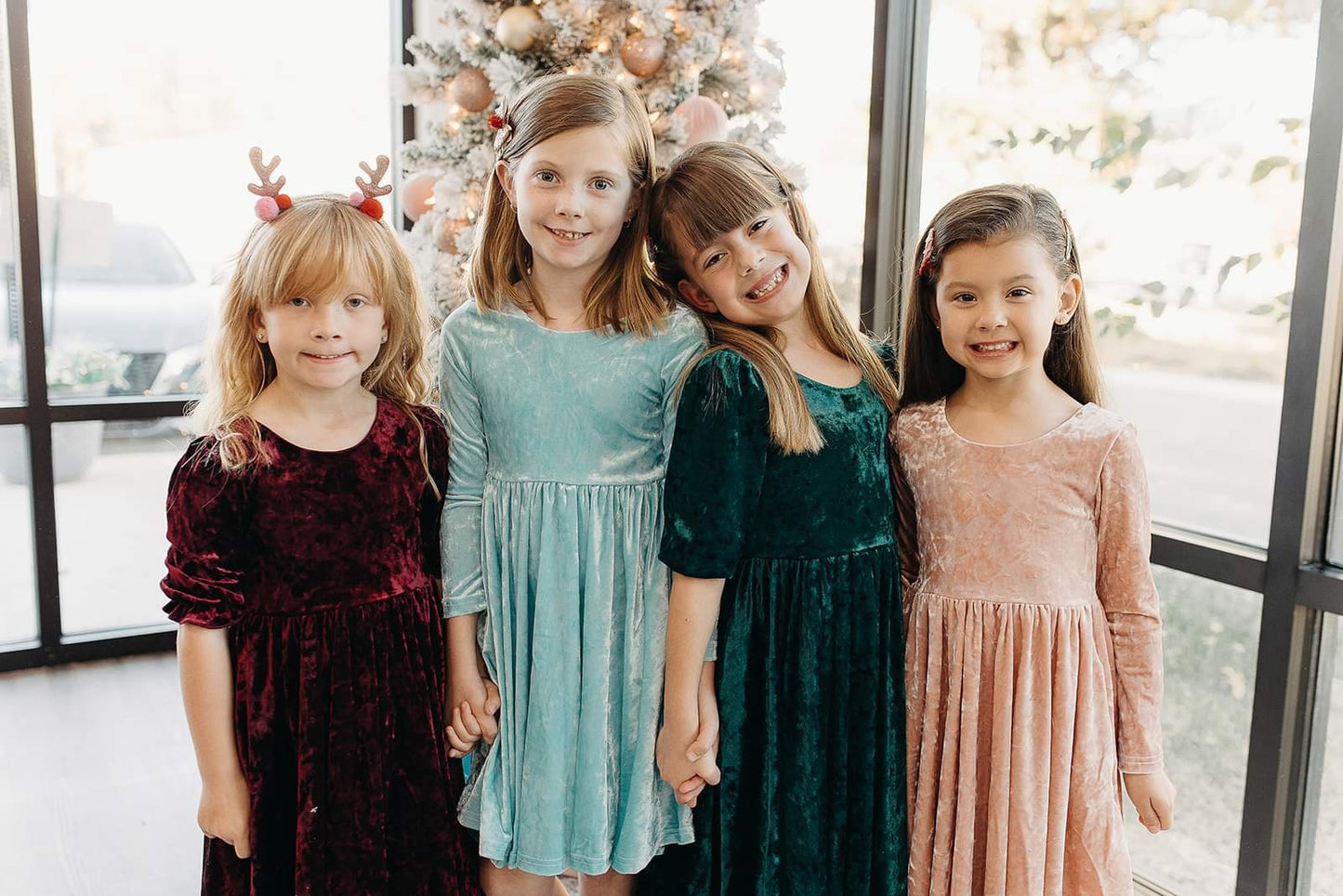 Gwendolyn Blush Velvet Dress