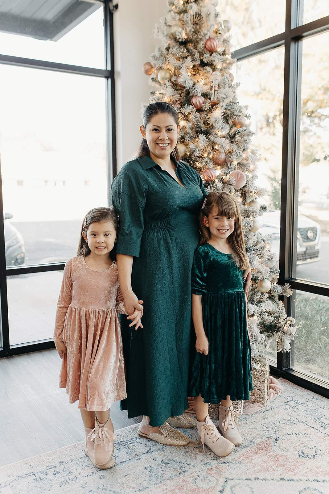 Gwendolyn Blush Velvet Dress