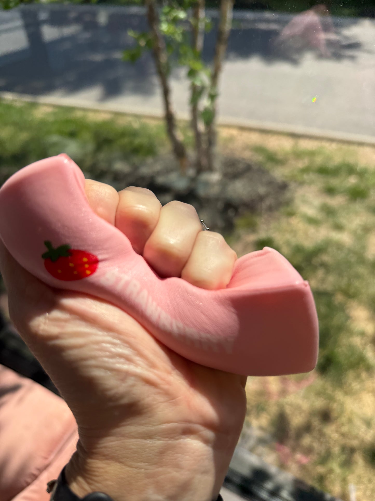 Strawberry Squeeze Squishy