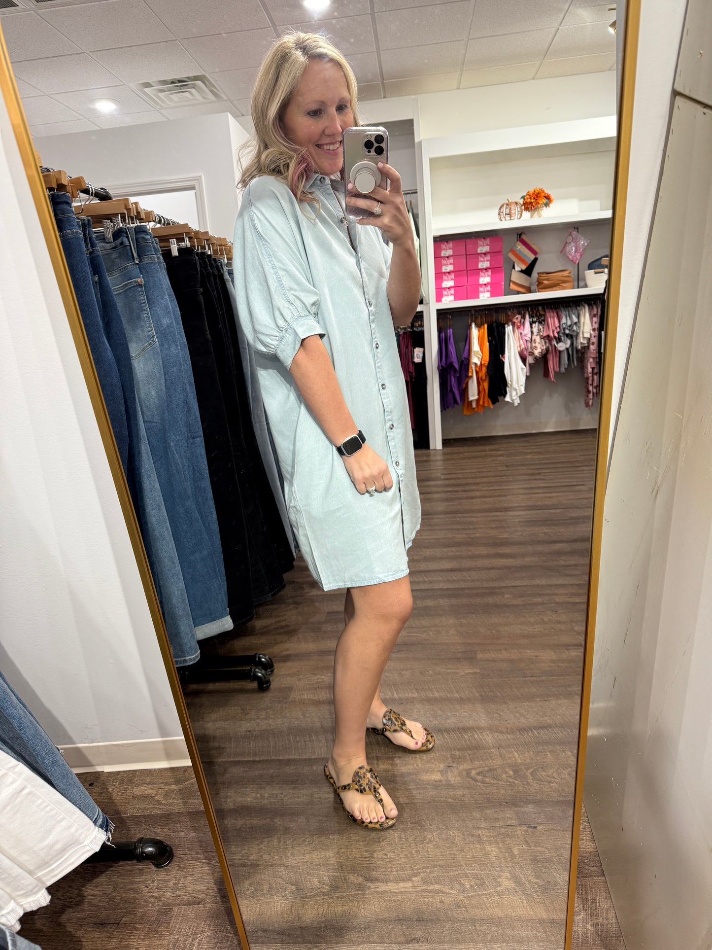 Allie Denim Dress