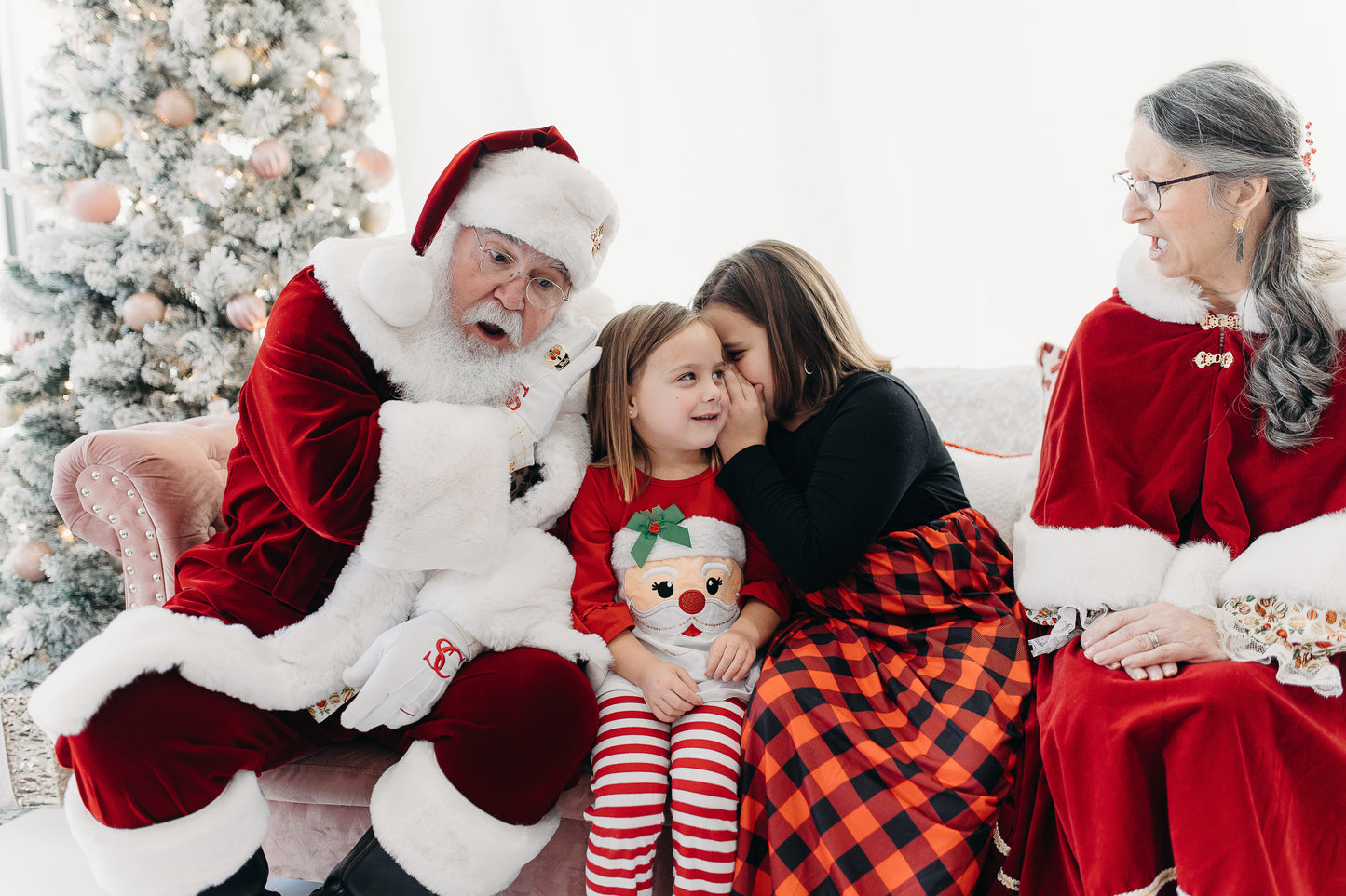 Christmas Picture Minis! ($80)