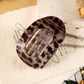 Leopard Oval Hair Claw Clip