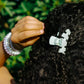 Dew Drop Small Classic Clip