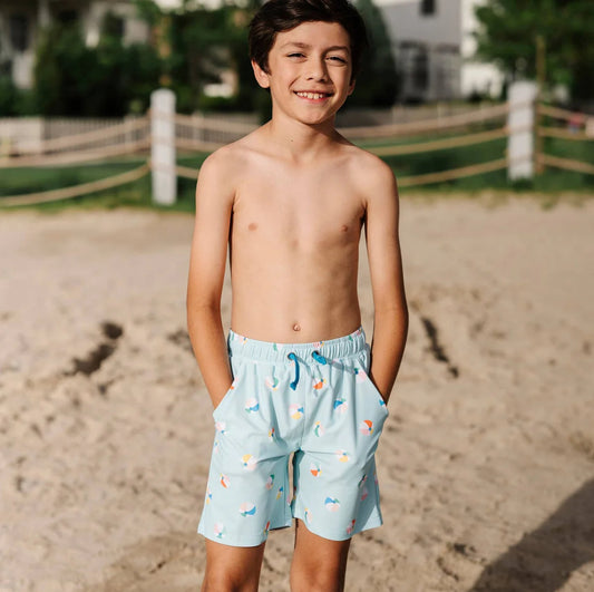 Beach Ball Boys Short (12/18m,2,4,6)