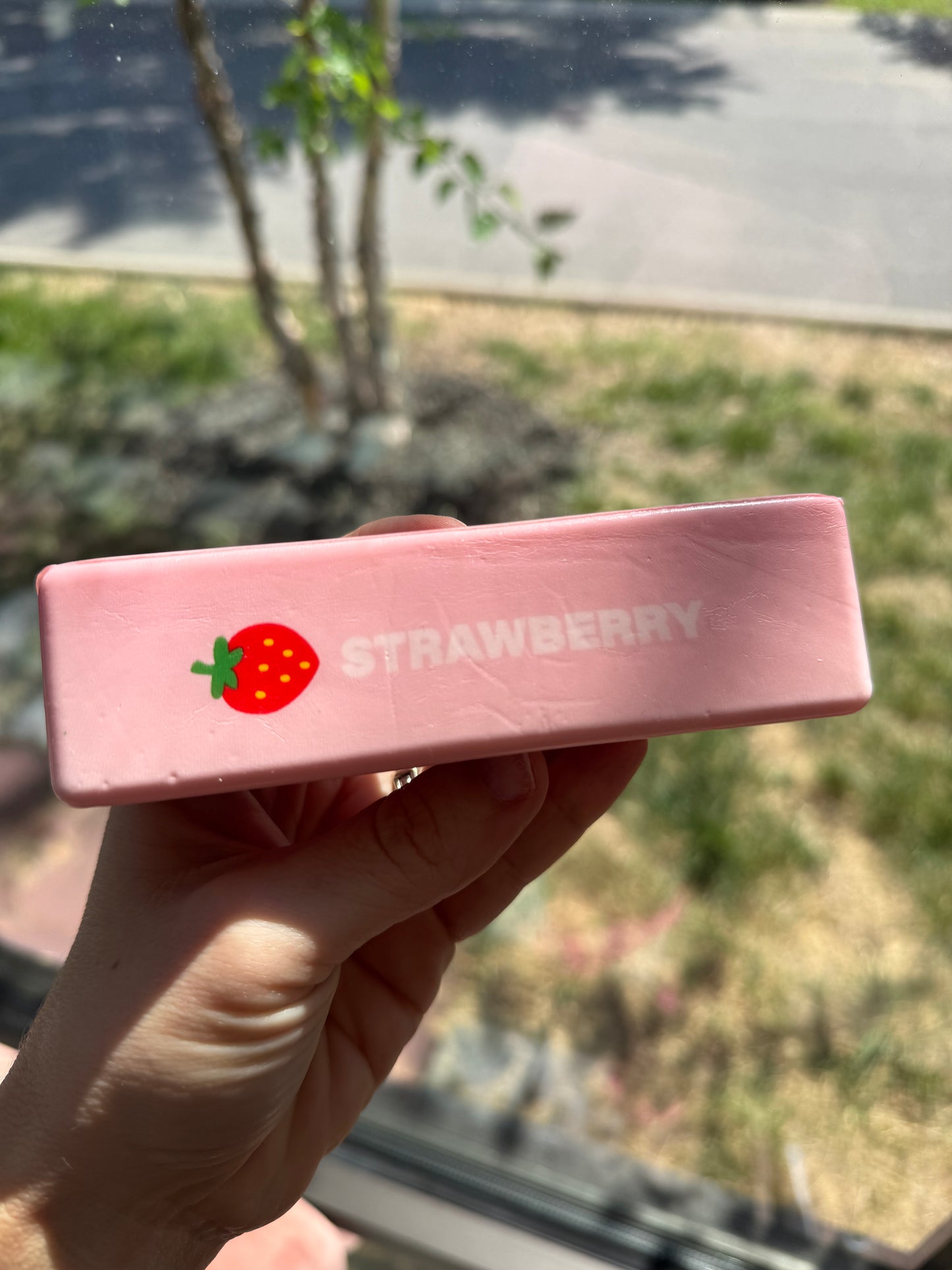 Strawberry Squeeze Squishy