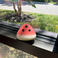 Sweet Slice Watermelon Squish