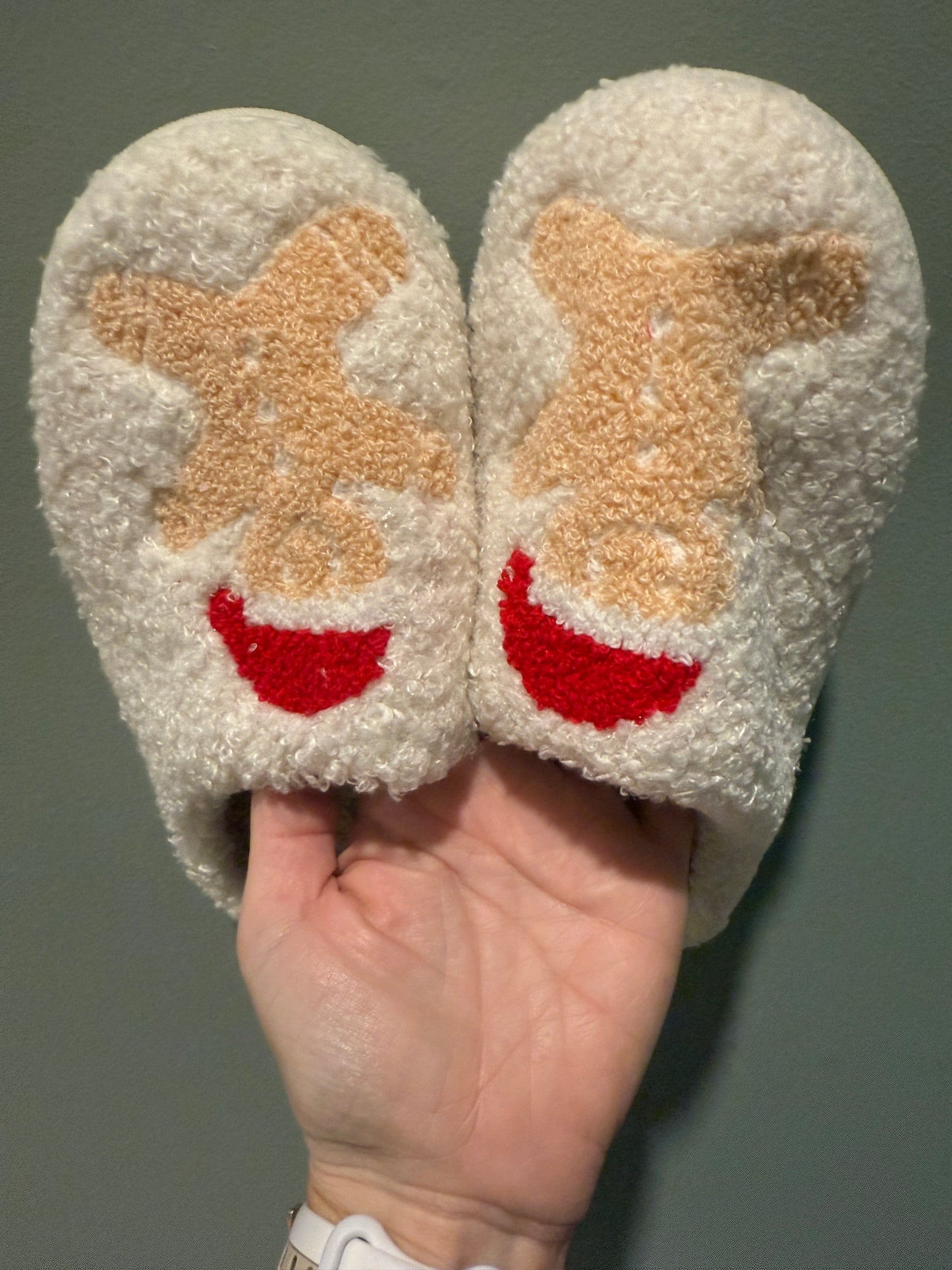 Gingerbread Slippers
